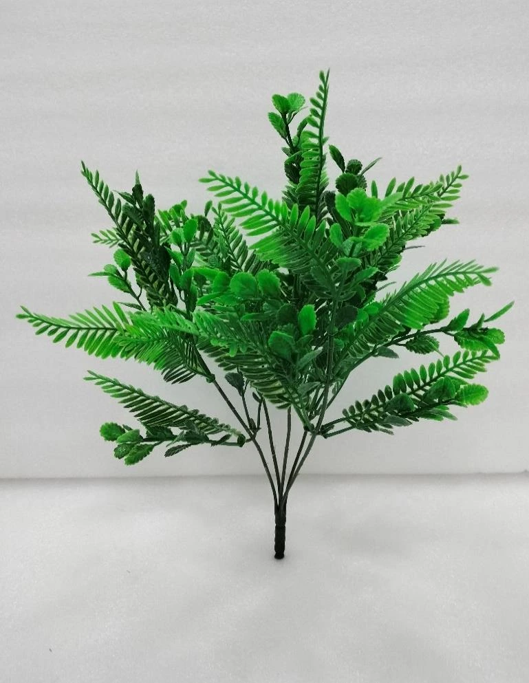 Ghoda Palm Pudina Leaves Bunch x5